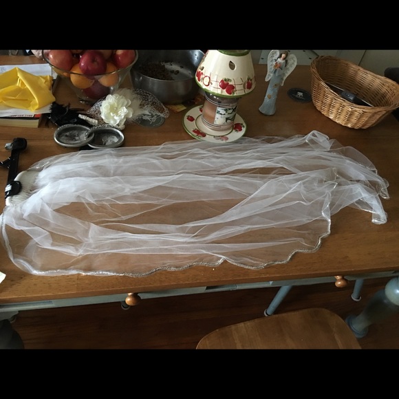 Veils - Picture 4 of 5